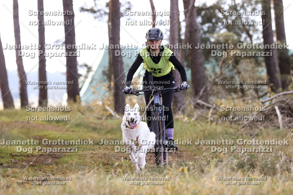 Dog Paparazzi - Elsholz 25 -121 | Dog Paparazzi Jeanette Grottendiek Fotografie & Videografie - Realisiert mit Pictrs.com