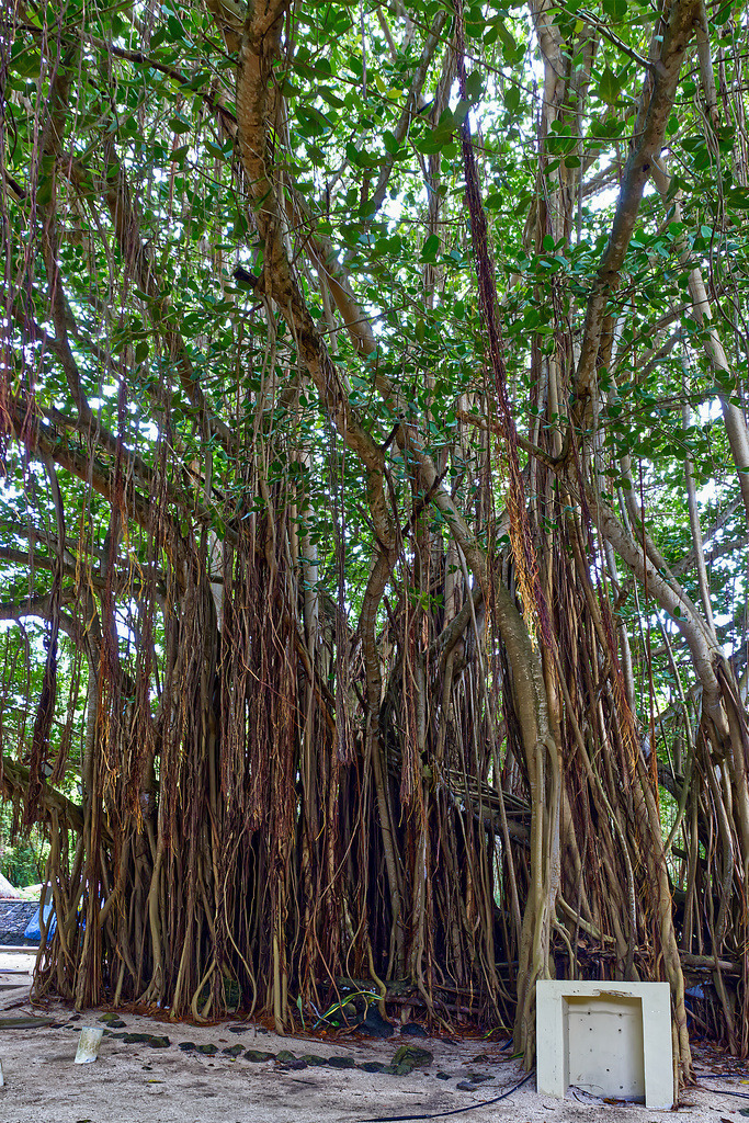 1H5A1422 | ansichtssache