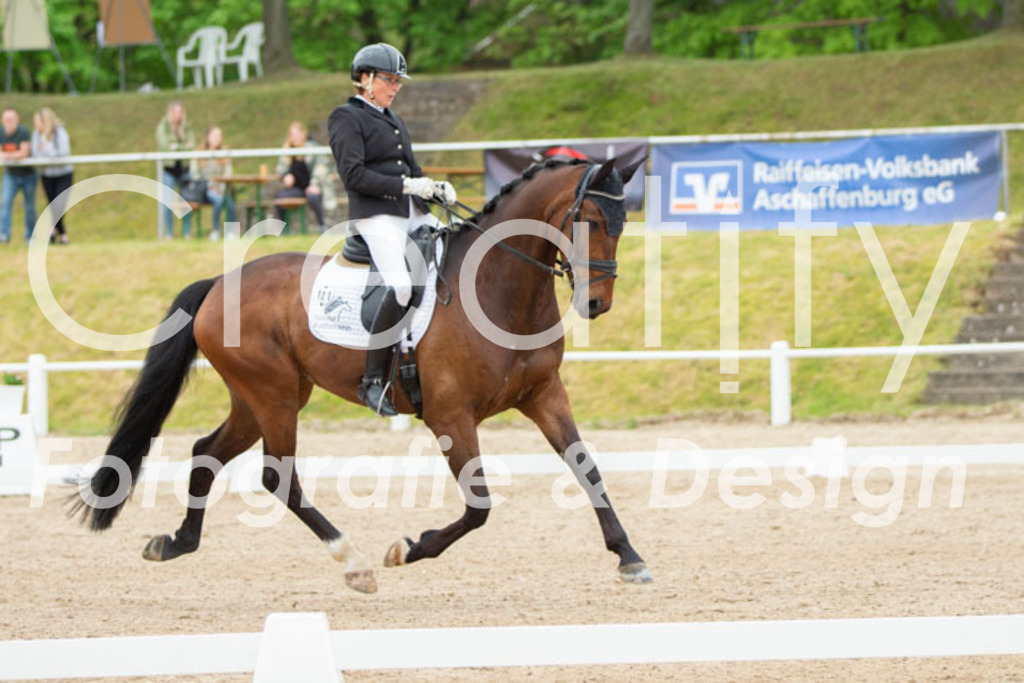 IMG_9705 | Creatify Fotografie