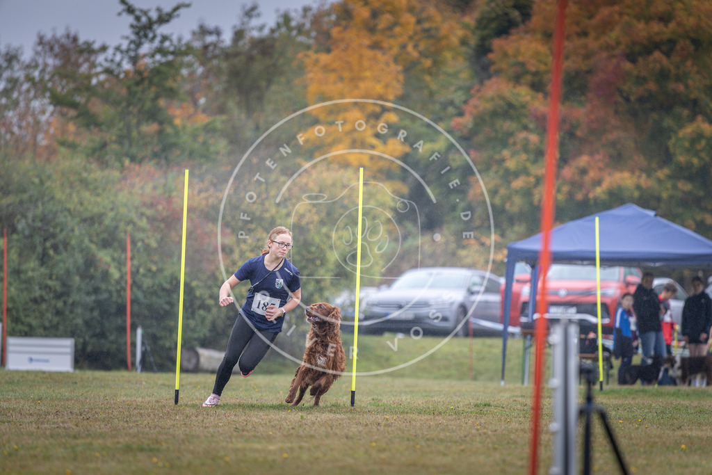 Pfotenfotografie_DV3A0062 | Hundefotografie, Tierfotograf, Pfotenfotografie, Fotoshooting Hund, Hunde Portrait, Hundesport, Hundeportraits, Heideshooting, Hunde, Sportfotograf, Hundefotograf, Turnierhundsport, THS,  - Realisiert mit Pictrs.com