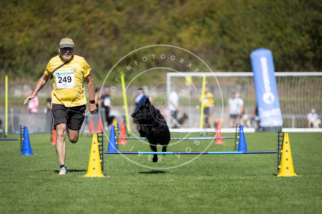 Pfotenfotografie_DV3A6168 | Hundefotografie, Tierfotograf, Pfotenfotografie, Fotoshooting Hund, Hunde Portrait, Hundesport, Hundeportraits, Heideshooting, Hunde, Sportfotograf, Hundefotograf, Turnierhundsport, THS,  - Realisiert mit Pictrs.com