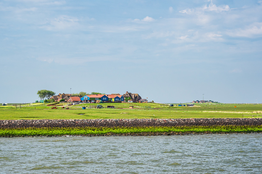 Häuser auf der Hallig Hooge in der Nordsee | Häuser auf der Hallig Hooge in der Nordsee.