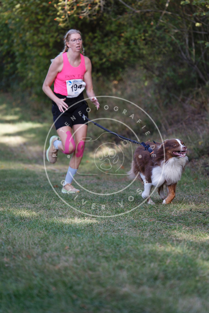 0L8A5555 | Hundefotografie, Tierfotograf, Pfotenfotografie, Fotoshooting Hund, Hunde Portrait, Hundesport, Hundeportraits, Heideshooting, Hunde, Sportfotograf, Hundefotograf, Turnierhundsport, THS,  - Realisiert mit Pictrs.com