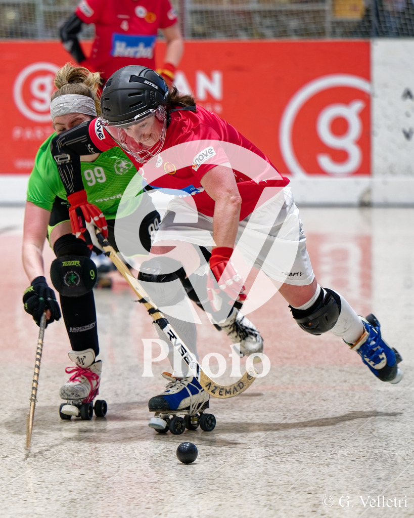 DZ8_7375 | Velletri Photo