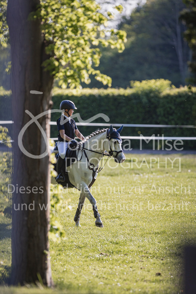 250501_MünsterHandorf_PonyTrophy-287 | Deine schönsten Turniermomente als professionelle Fotos! Entdecke hochwertige Pferdesport-Fotografie im Online-Shop. Jetzt Fotos finden & bestellen!