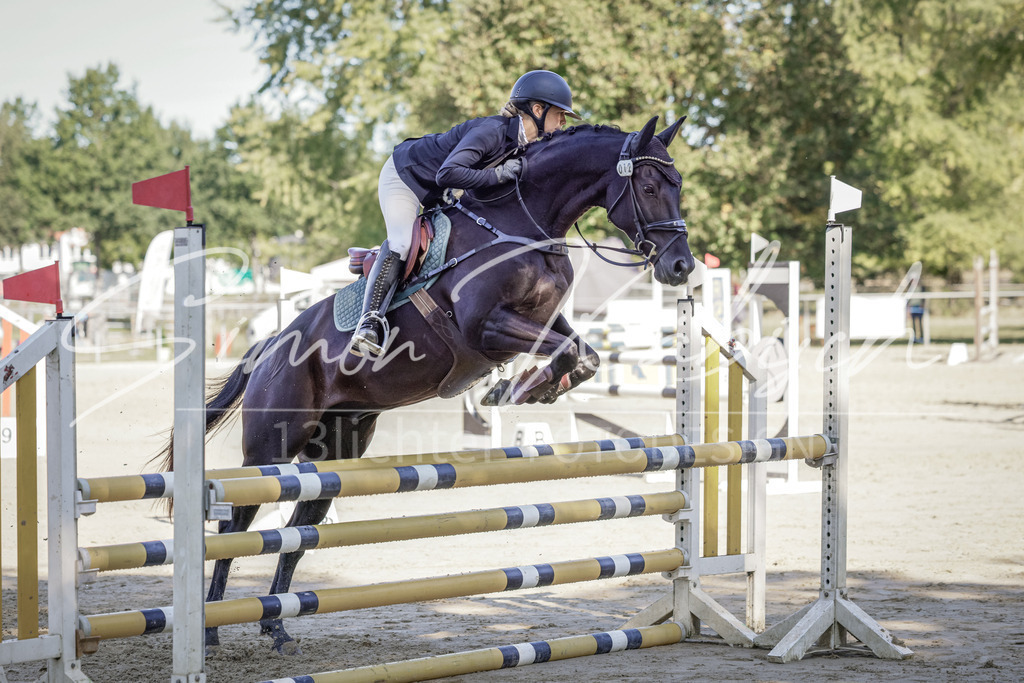 20250906-_3LI3338 | Tierfotografie Pferde, Hunde, Katzen, Haustiere.
Turnierfotografie Reitturniere, Reiten, Springreiten, Dressur in Hanau, dem Main-Kinzig-Kreis und dem Rhein-Main- Gebiet um Frankfurt
