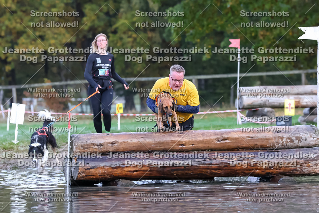 Dog Paparazzi - Strongdog 10-25-6398 | Dog Paparazzi Jeanette Grottendiek Fotografie & Videografie - Realisiert mit Pictrs.com