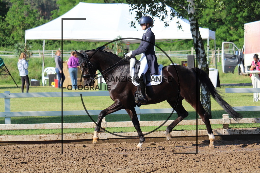 IMG_5872 | franziskalange - Realisiert mit Pictrs.com