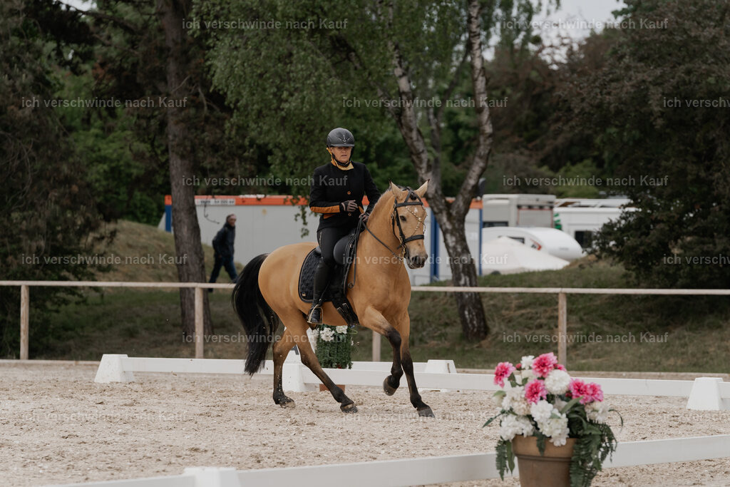 WE_DR_Stoib_319_PI2025_311 | Pferd International München 2025