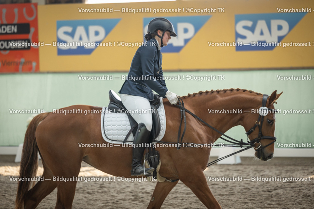 _D5A5633 | Emotionale Pferde- & People-Fotografie rund um Heidelberg, Leimen & Umgebung. Natürliche Fotos von Pferd, Mensch & Familie. Jetzt Termin sichern!