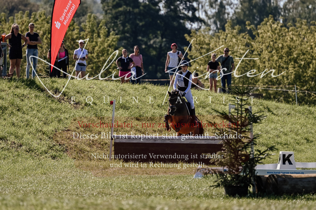 DSC_1295 | Pferde- und Turnierfotografie in Westsachsen. Pferdeportraits, Auftragszeichnungen und intuitive Kunst.
