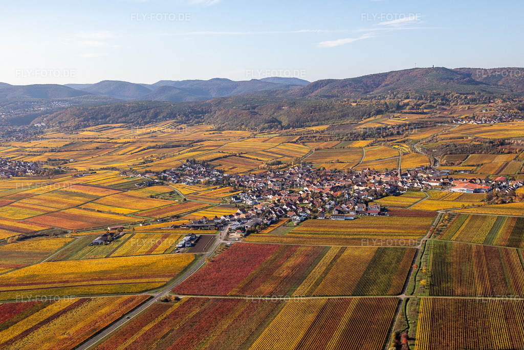 Luftbild: Herbstliche verfärbte Vegetationsansicht der Weinberge um das Winzerdorf in Kallstadt im Ortsteil Ungstein in Bad Dürkheim im Bundesland Rheinland-Pfalz in Deutschland. Foto: IMG_123511.jpg vom 31.10.2020 durch Werner Riehm/FLY-FOTO.de