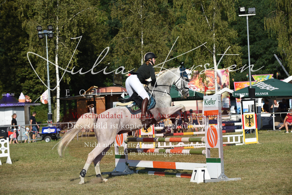 DSC_5208 | Pferde- und Turnierfotografie in Westsachsen. Pferdeportraits, Auftragszeichnungen und intuitive Kunst.