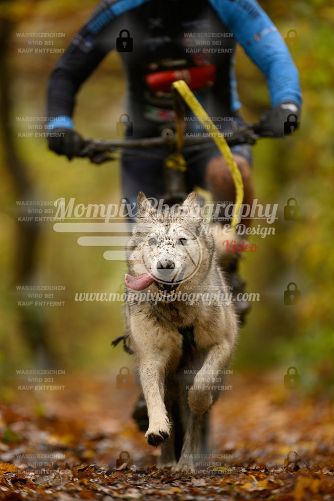 MompixPhotography_CD7S_DI_Bike-71 | mompixphotography