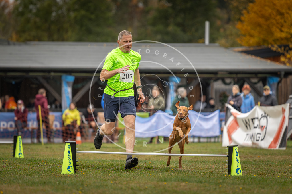 Pfotenfotografie_DV3A1786 | Hundefotografie, Tierfotograf, Pfotenfotografie, Fotoshooting Hund, Hunde Portrait, Hundesport, Hundeportraits, Heideshooting, Hunde, Sportfotograf, Hundefotograf, Turnierhundsport, THS,  - Realisiert mit Pictrs.com