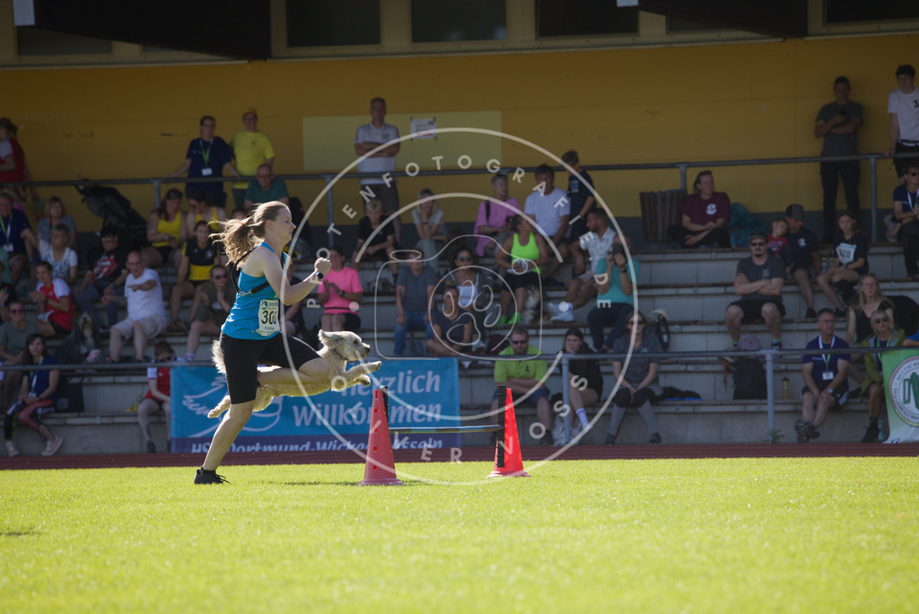 0L8A8540 | Hundefotografie, Tierfotograf, Pfotenfotografie, Fotoshooting Hund, Hunde Portrait, Hundesport, Hundeportraits, Heideshooting, Hunde, Sportfotograf, Hundefotograf, Turnierhundsport, THS,  - Realisiert mit Pictrs.com