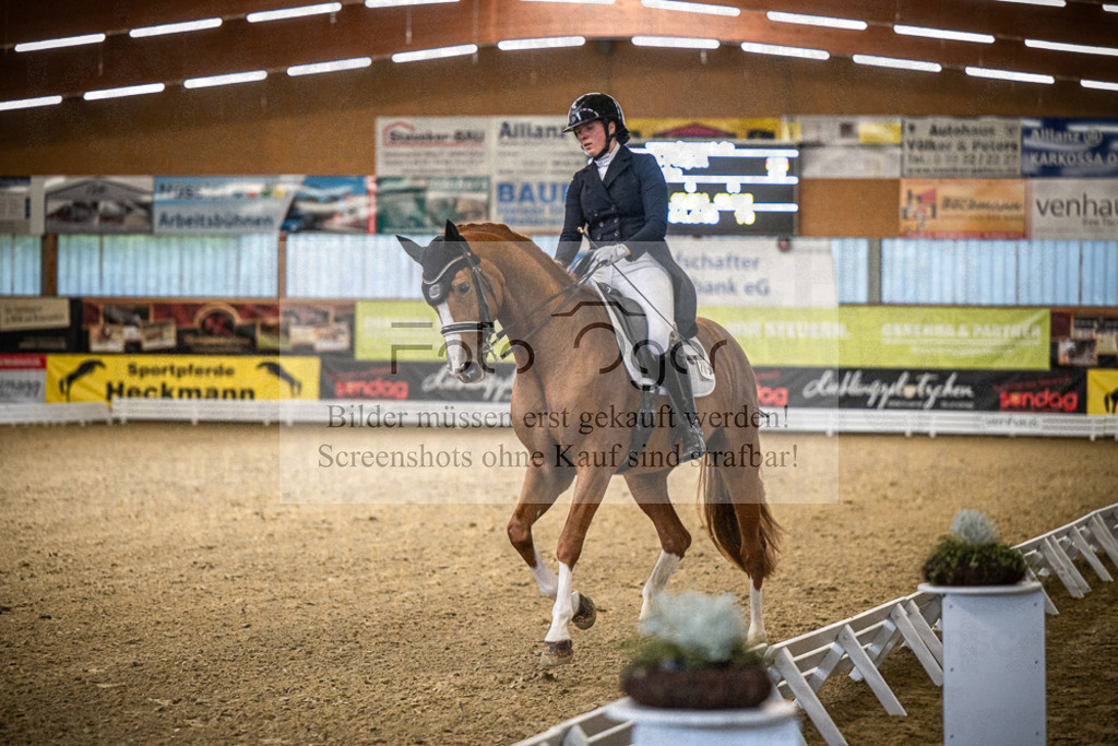 DOS_4162 | Entdecke hochwertige Reitturnierfotos von Foto Oger. Professionell, emotional und authentisch – jetzt Lieblingsmomente im Shop bestellen.Deutschlandweite Turnierfotografie. - Realisiert mit Pictrs.com