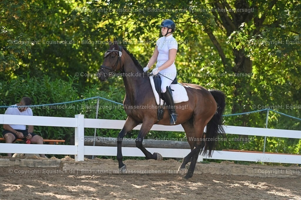20230715_06_Dressurpferdeprfg. Kl.A_0284 | equistock