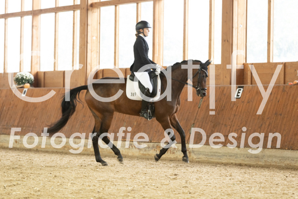 IMG_1529 | Creatify Fotografie