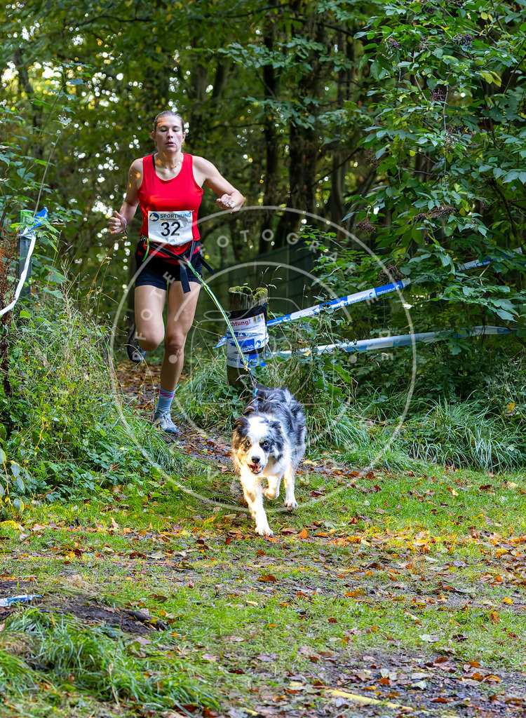 Pfotenfotografie_DV3A6681 | Hundefotografie, Tierfotograf, Pfotenfotografie, Fotoshooting Hund, Hunde Portrait, Hundesport, Hundeportraits, Heideshooting, Hunde, Sportfotograf, Hundefotograf, Turnierhundsport, THS,  - Realisiert mit Pictrs.com