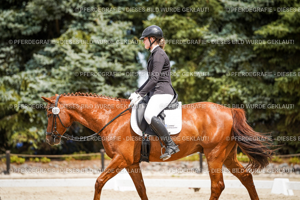 DSC03735 | Pferdegrafie