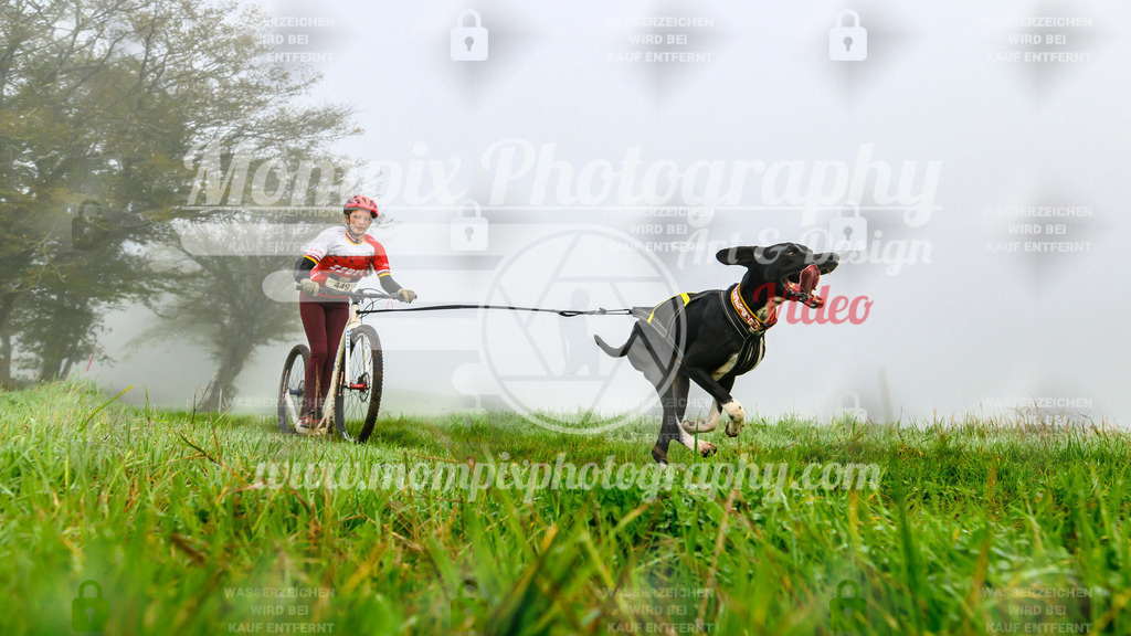 MompixPhotography_20TSB_E5_DS1-26 | PayLife