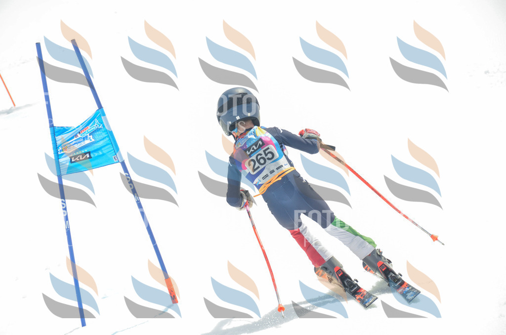 _ELE7725 | holidayphoto