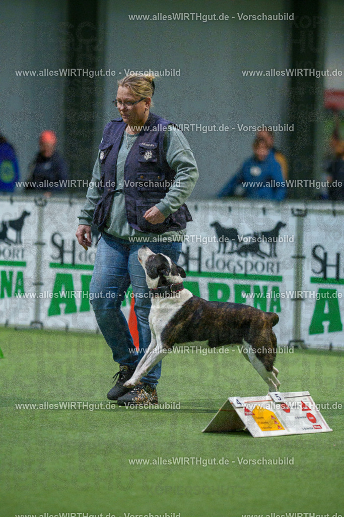 7R509813 | Professionelle Tierfotografie in Mönchengladbach von Daniel Wirth (allesWIRTHgut). Liebevolle & natürliche Bilder von Hunden & Katzen für unvergessliche Erinnerungen.