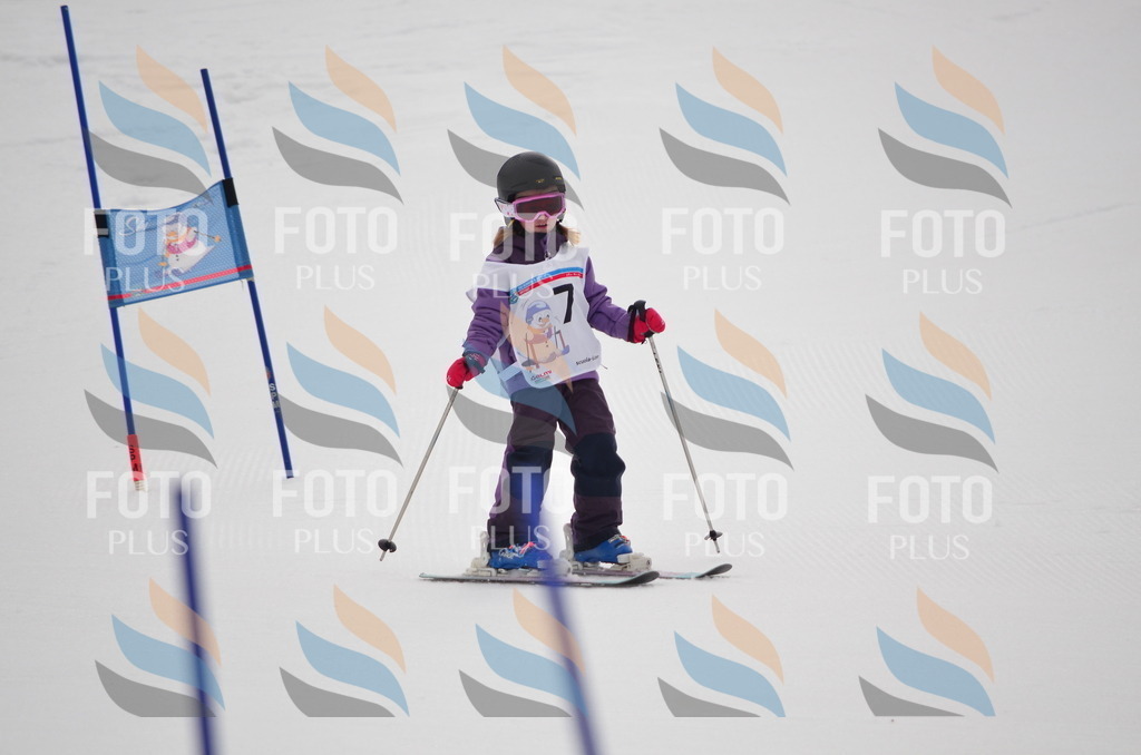 B9832 | holidayphoto