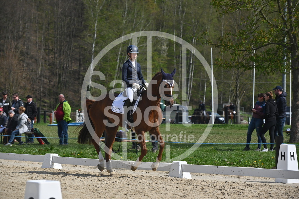 DSC_1156 | sattelsport - Realisiert mit Pictrs.com