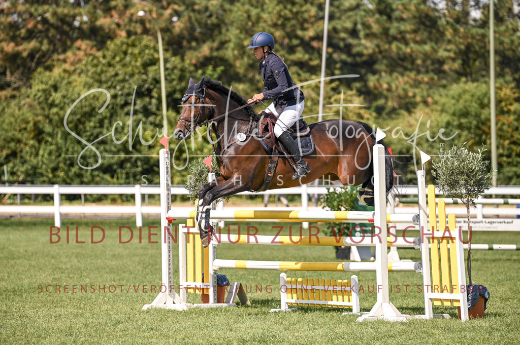 Schugtsche-Düren.2024-09.Springprf.L-74 | Schugtsche Fotografie - Realisiert mit Pictrs.com