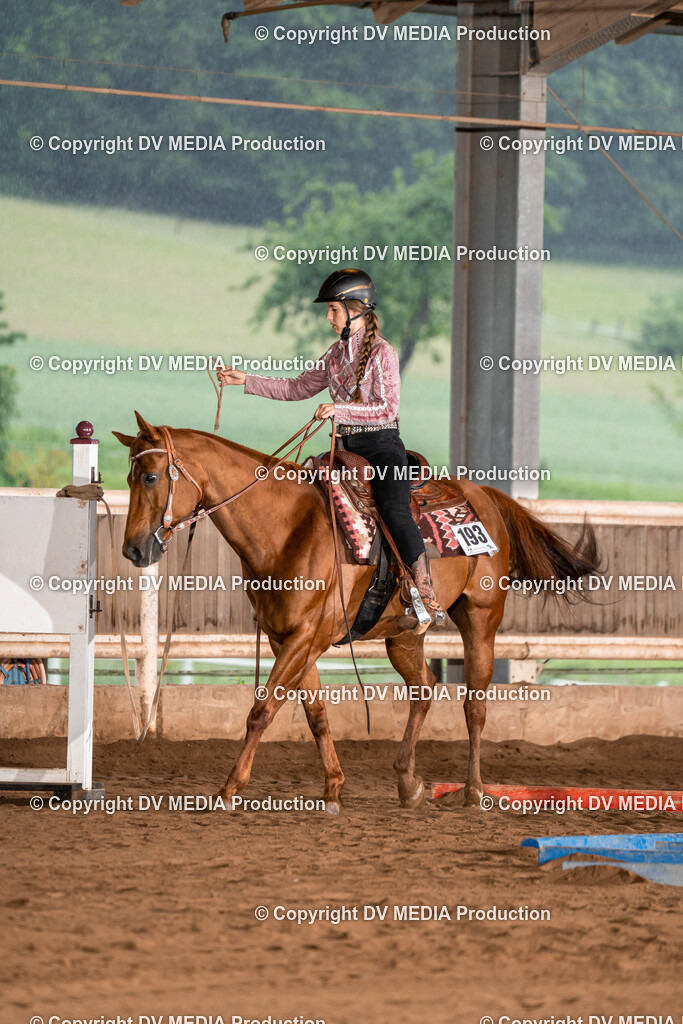 Erbach Tag 1-27 | dv-media-shop - Realisiert mit Pictrs.com