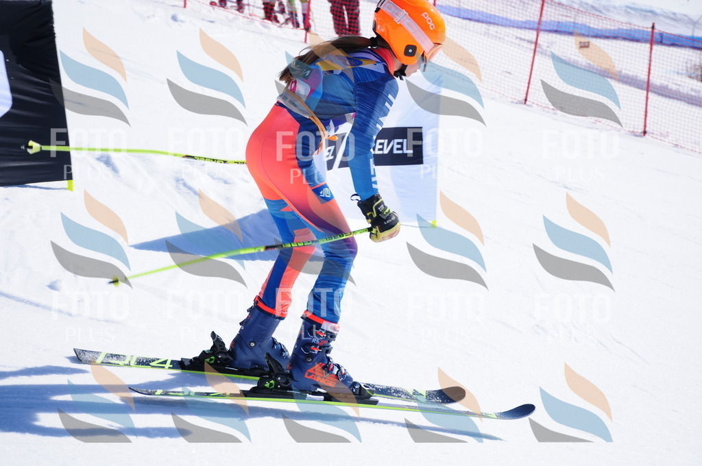 DSC_3689 | holidayphoto