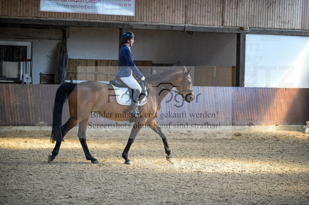 Reitturnier Voxtrup | Entdecke hochwertige Reitturnierfotos von Foto Oger. Professionell, emotional und authentisch – jetzt Lieblingsmomente im Shop bestellen.Deutschlandweite Turnierfotografie. - Realisiert mit Pictrs.com