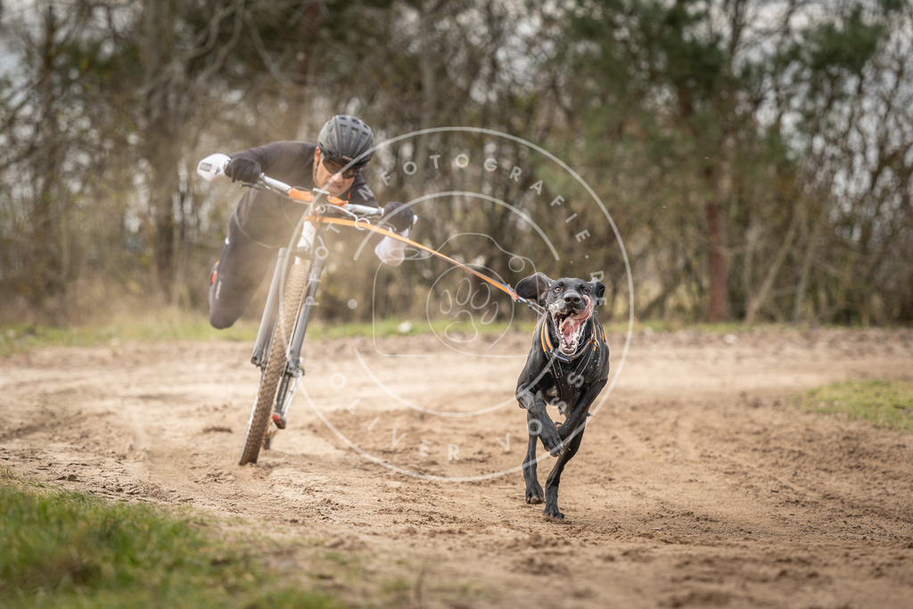 Pfotenfotografie_DV3A9323 | Hundefotografie, Tierfotograf, Pfotenfotografie, Fotoshooting Hund, Hunde Portrait, Hundesport, Hundeportraits, Heideshooting, Hunde, Sportfotograf, Hundefotograf, Turnierhundsport, THS,  - Realisiert mit Pictrs.com