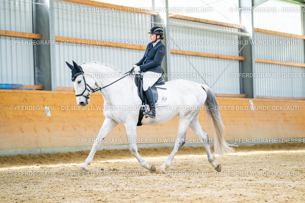 DSC07837 | Pferdegrafie