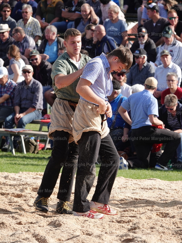 DSC05621 | Schwingen - Realisiert mit Pictrs.com