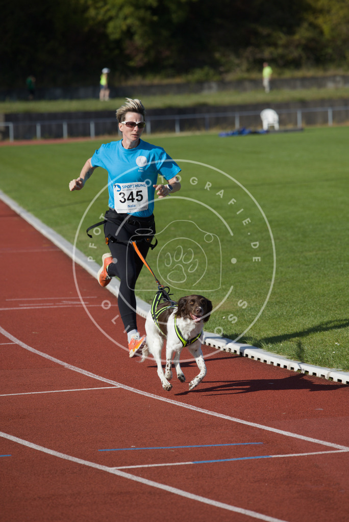 0L8A9145 | Hundefotografie, Tierfotograf, Pfotenfotografie, Fotoshooting Hund, Hunde Portrait, Hundesport, Hundeportraits, Heideshooting, Hunde, Sportfotograf, Hundefotograf, Turnierhundsport, THS,  - Realisiert mit Pictrs.com