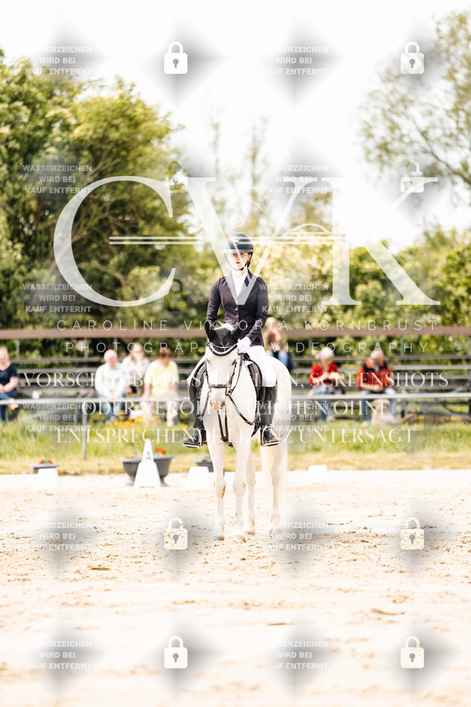CK902283 | Turnierfotografie Pferdefotografie Trier Rheinland-Pfalz Pferdesport Reitsport Tierfotografie Sportfotografie Pferdevideo Pferdevideografie Equestrianvideography equestrianphotography  - Realisiert mit Pictrs.com