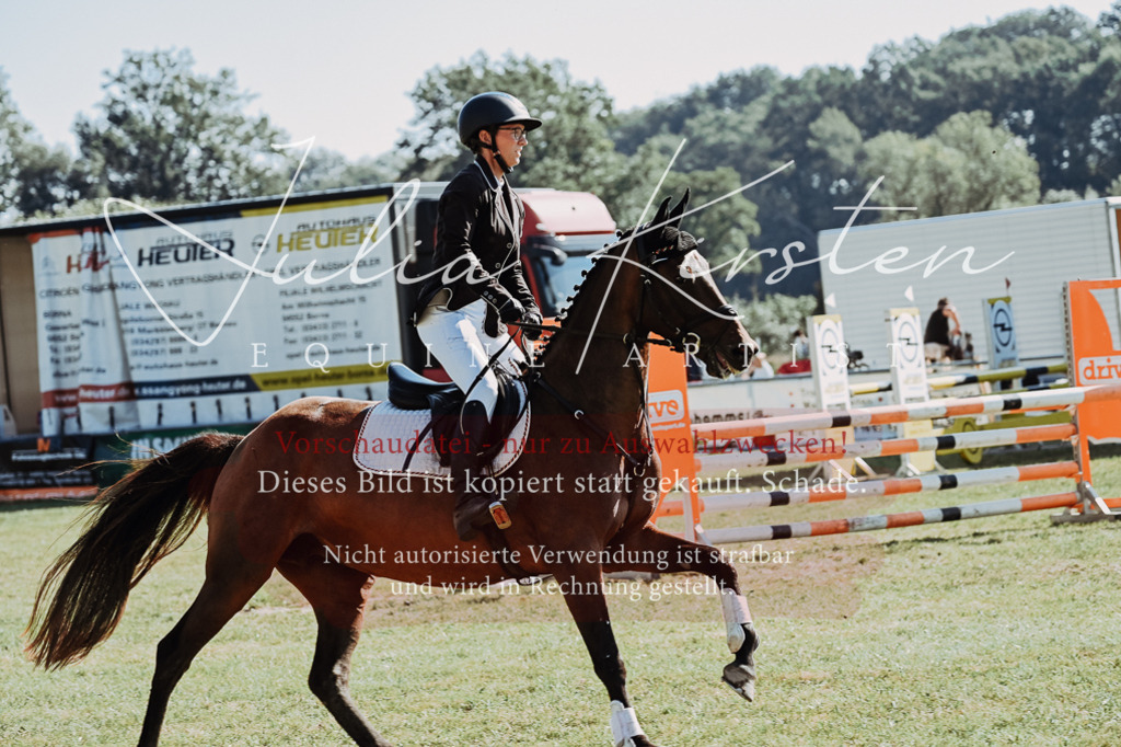 DSC_5572 | Pferde- und Turnierfotografie in Westsachsen. Pferdeportraits, Auftragszeichnungen und intuitive Kunst.