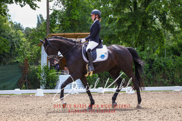 DKP40972 | Turnierfotos kaufen im Webshop von Daniel Kuhl Photography – entdecke professionelle Reitsportfotos aus Turnieren & Events. Hochwertige Turnierbilder online bestellen & sichern. Jetzt Fotos von Reitsportturnieren kaufen!