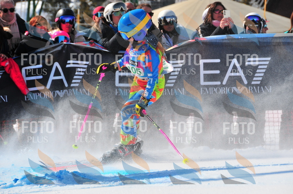 DSC_0774 | holidayphoto