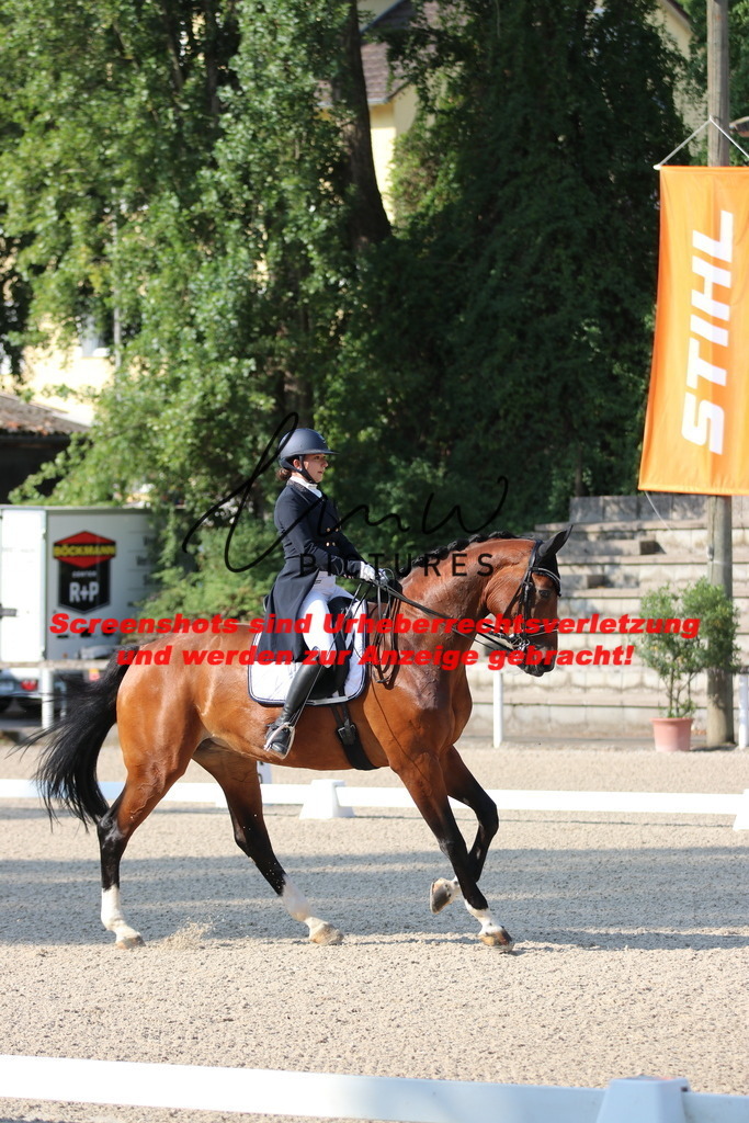 IMG_8878 | lmwpictures - Realisiert mit Pictrs.com