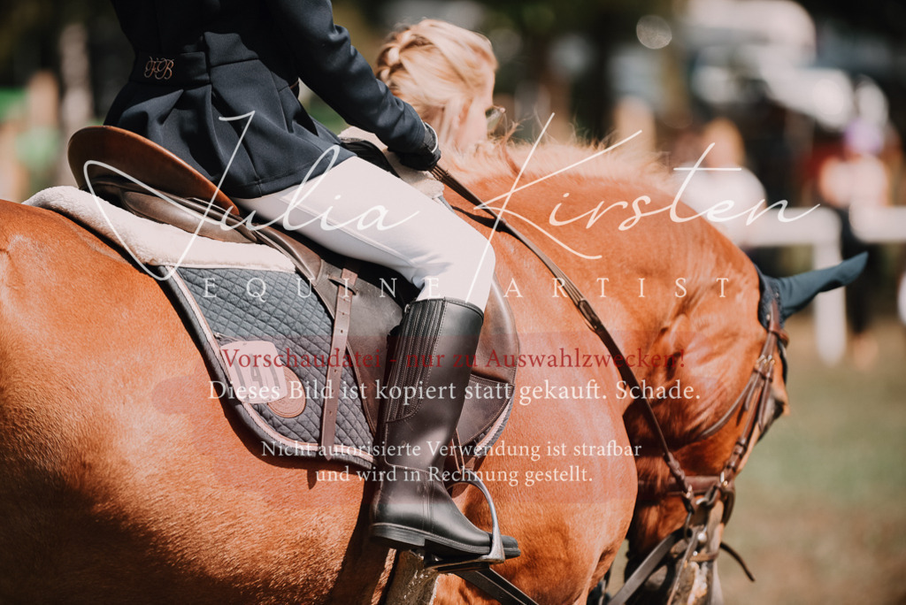 DSC_5977 | Pferde- und Turnierfotografie in Westsachsen. Pferdeportraits, Auftragszeichnungen und intuitive Kunst.