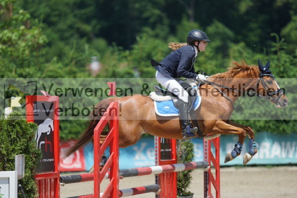 DSC00691 | equestrian-live-com