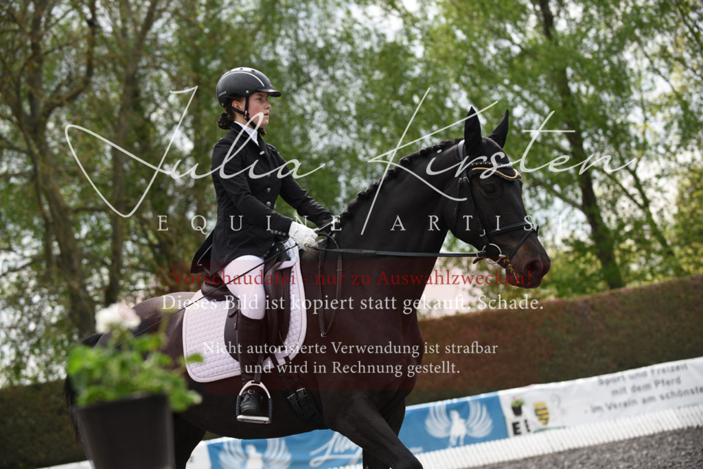 20230513_JK-Röhrsdorf-16-004 | Pferde- und Turnierfotografie in Westsachsen. Pferdeportraits, Auftragszeichnungen und intuitive Kunst.