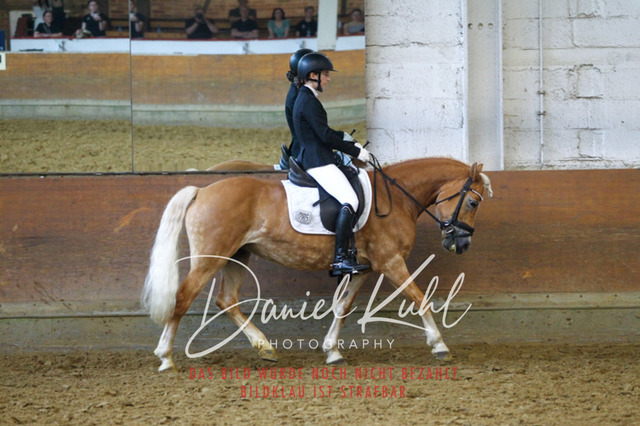 DKP43690 | Turniersportfotografie; Pferdefotografie; Dressurfotografie