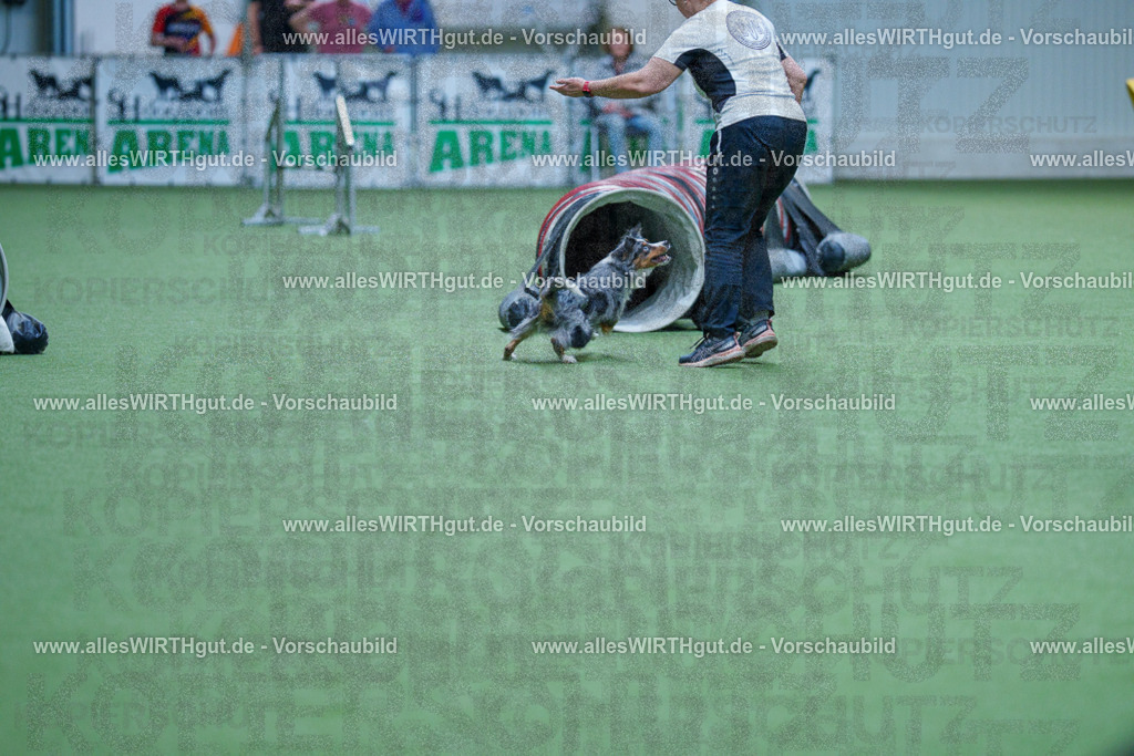 @allesWIRTHgut_Tierfotografie - www.allesWIRTHgut.de - 2604251443-7R505404 | Professionelle Tierfotografie in Mönchengladbach von Daniel Wirth (allesWIRTHgut). Liebevolle & natürliche Bilder von Hunden & Katzen für unvergessliche Erinnerungen.