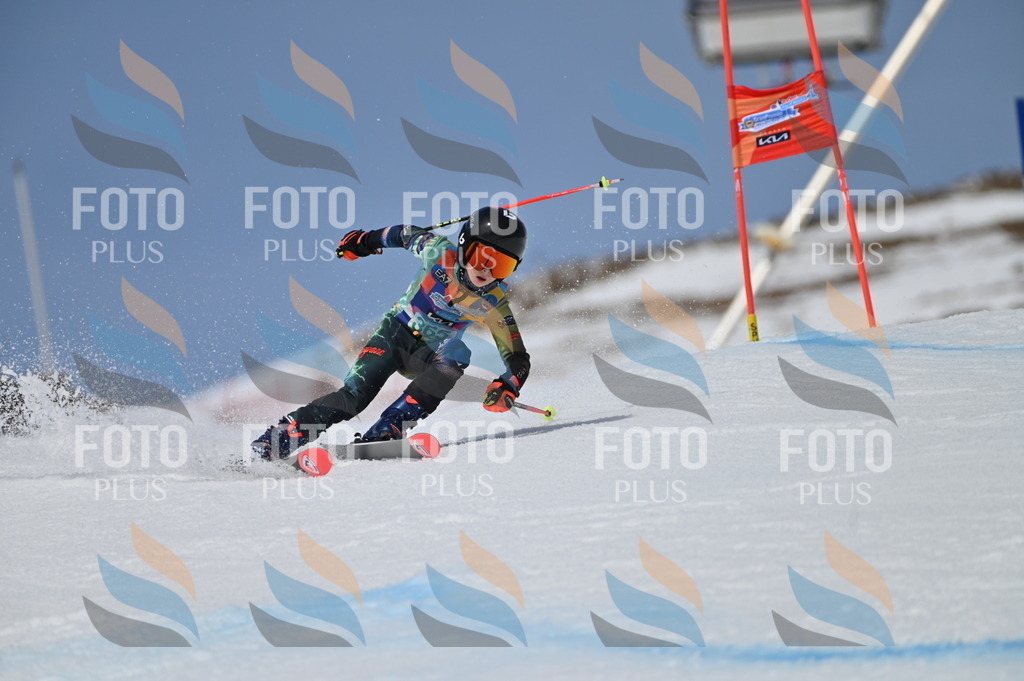 BGV_7208 | holidayphoto