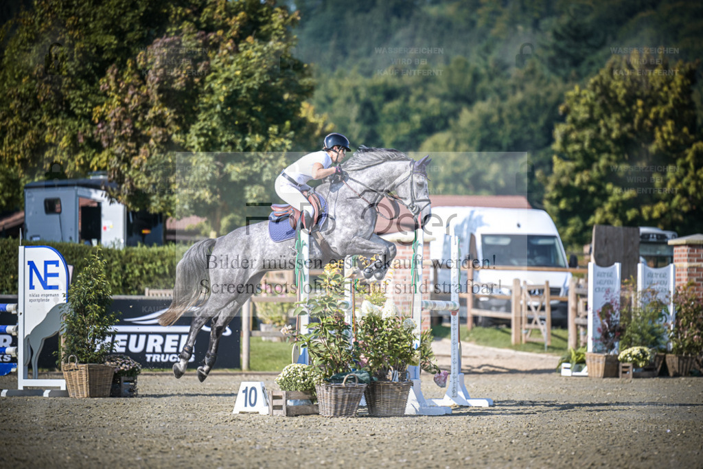 DOS_3461 | Entdecke hochwertige Reitturnierfotos von Foto Oger. Professionell, emotional und authentisch – jetzt Lieblingsmomente im Shop bestellen. - Realisiert mit Pictrs.com